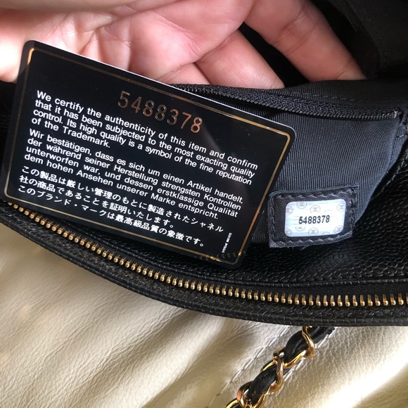 Authentic Chanel Collection Limited Edition Bag - Picture 8 of 10